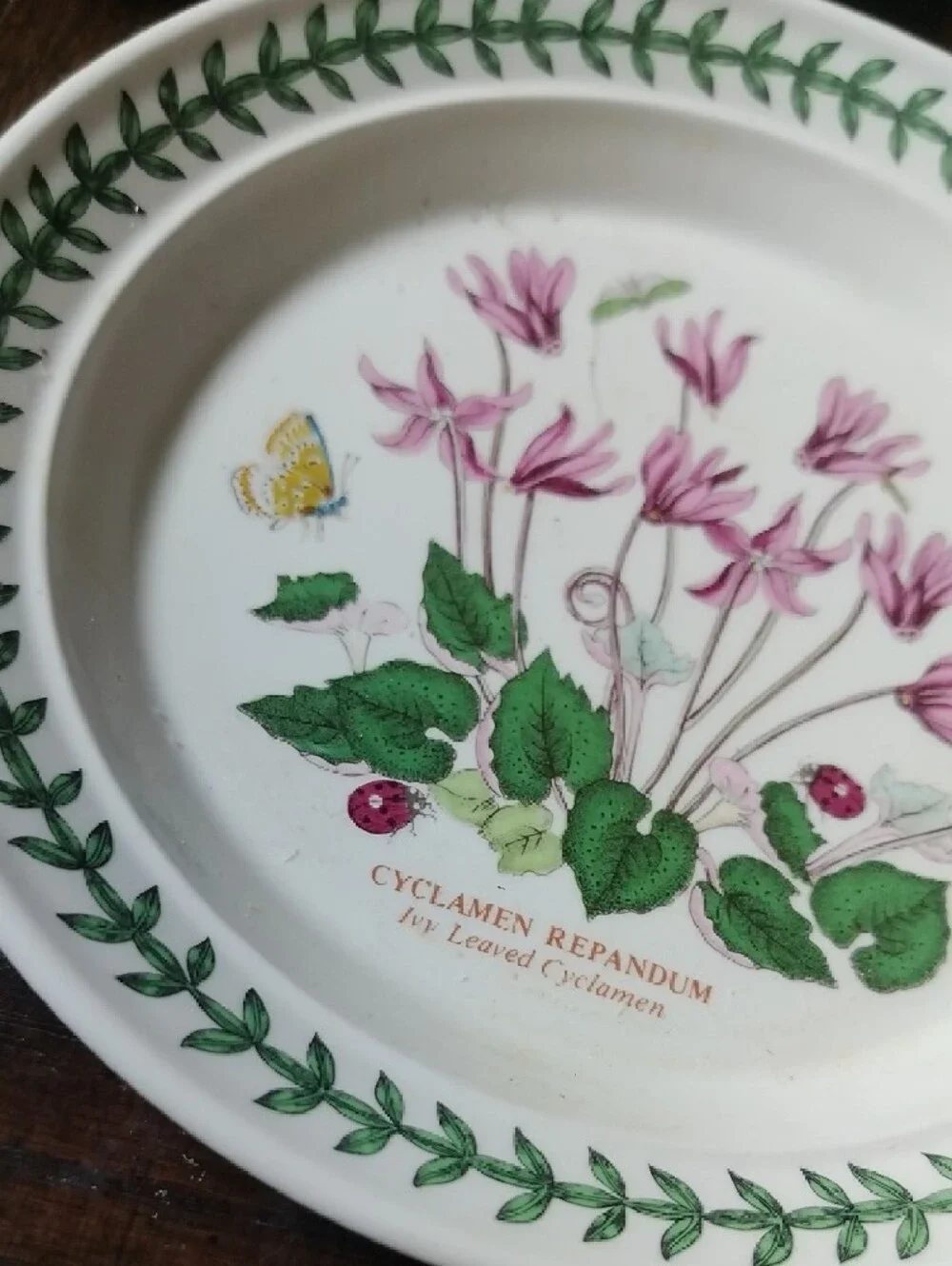 Port Meirion Botanical Cyclamen Floral Salad Plate - Pink & Green